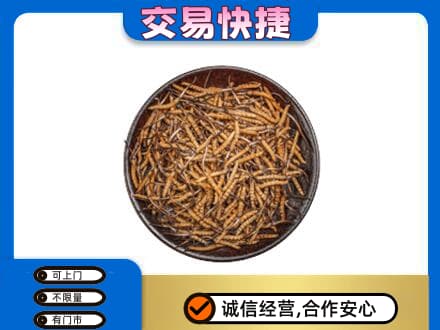 泉州市鲤城回收散虫草